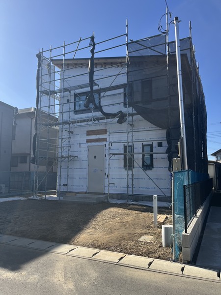 現地写真（1月下旬撮影）